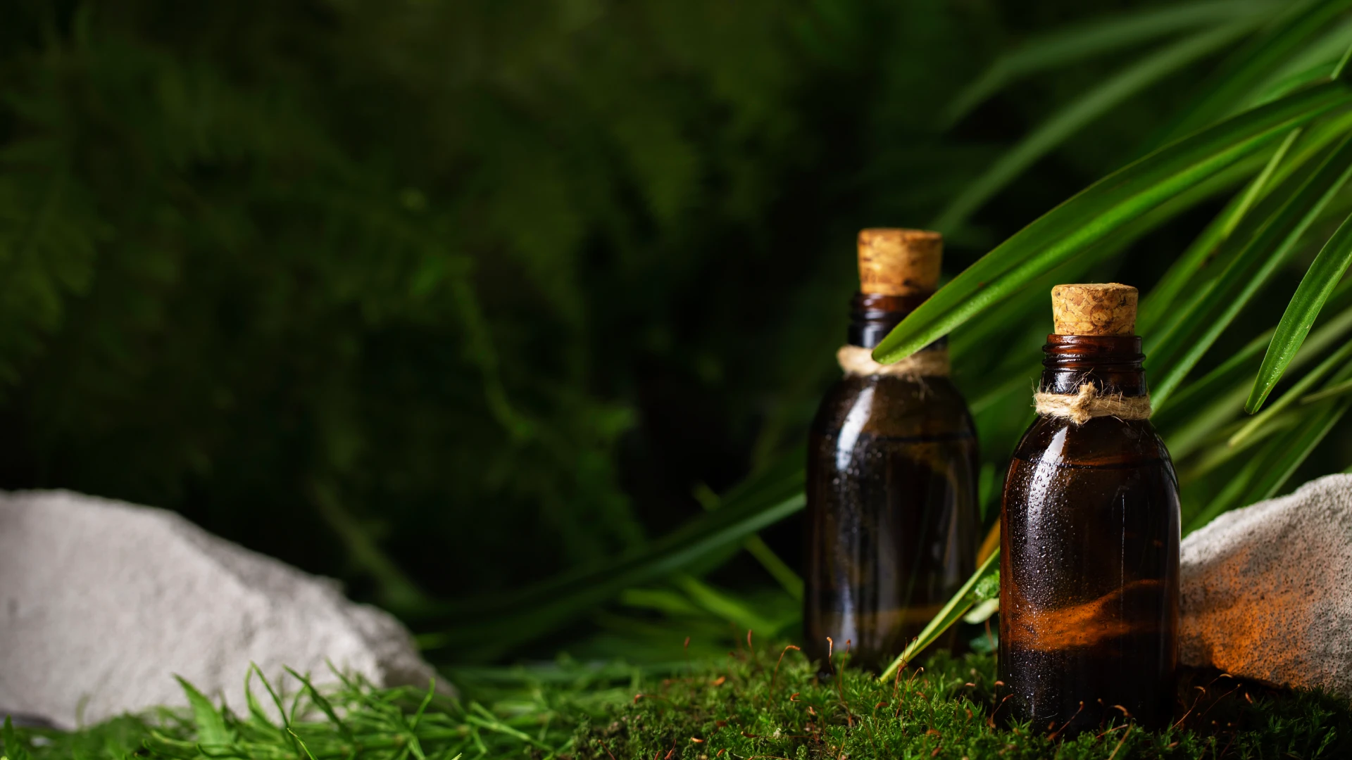 home-ayurveda-slider4-img