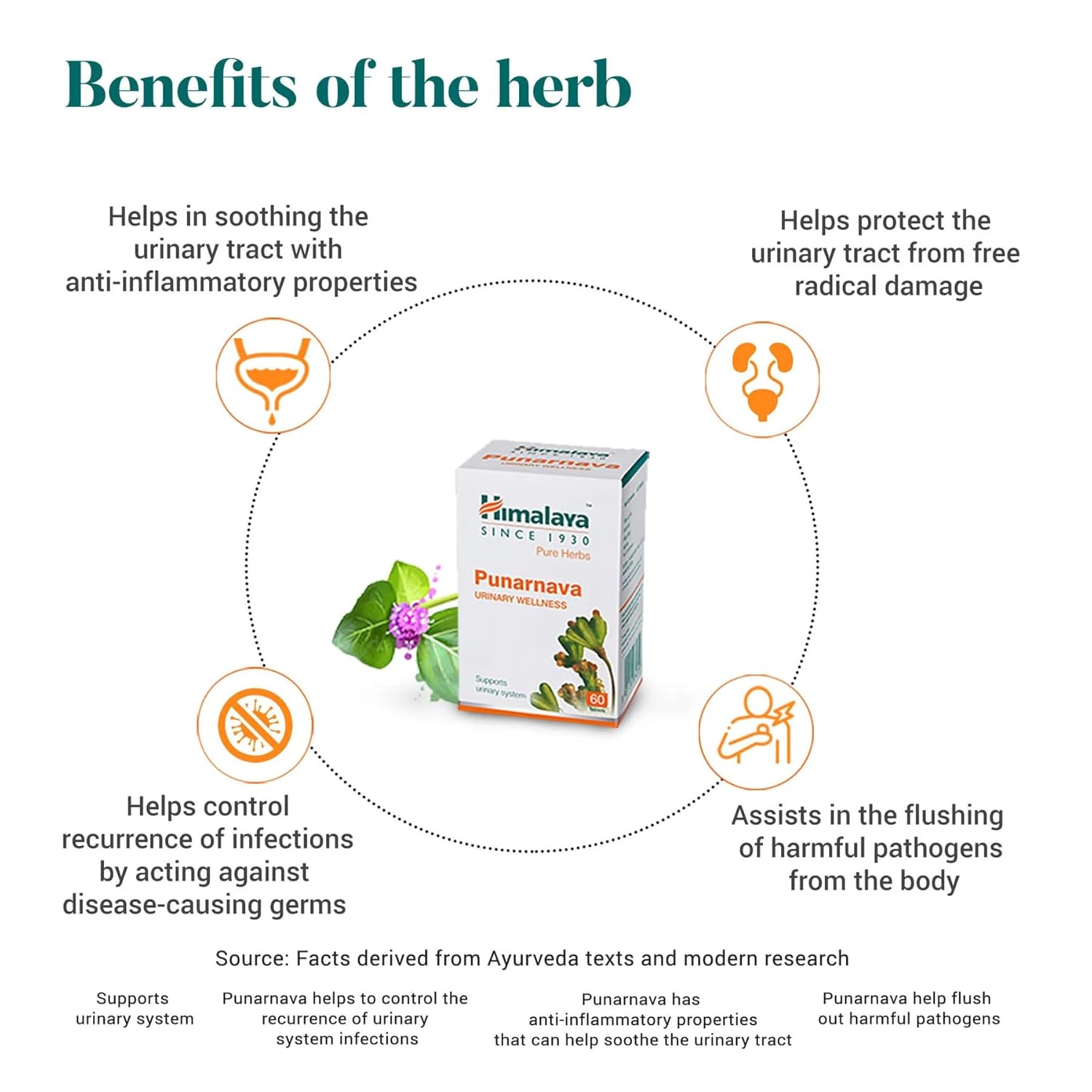 71dyMH2ppWL._SL1500_