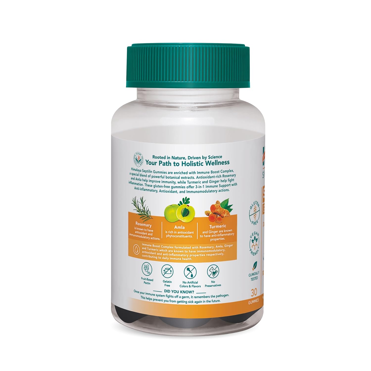 71rU8yDZjML._SL1500_