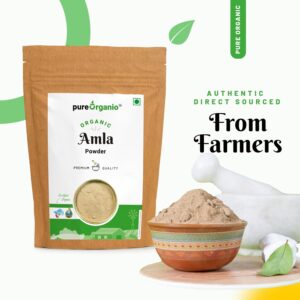 Organic Amla Powder